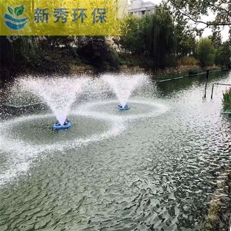 塑料浮筒式喷泉曝气机   河道景观浮水式喷泉泵