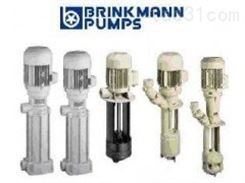 布曼BRINKMANN 高压泵TAL200/140
