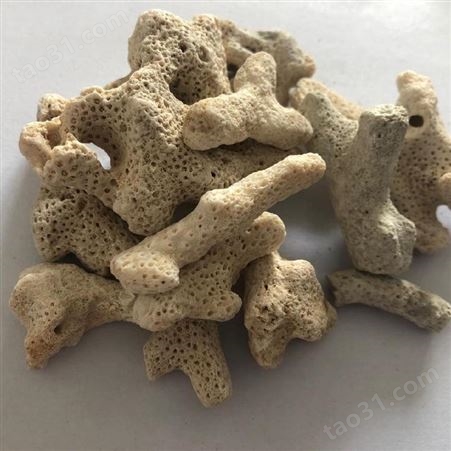 厂家批发珊瑚石 水族过滤用珊瑚骨 净化水族用珊瑚石 日进矿产