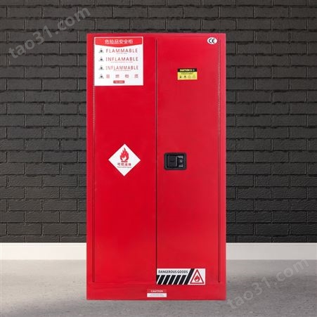 防火化学品60加仑气瓶柜 试剂柜危化品储存柜 防爆柜
