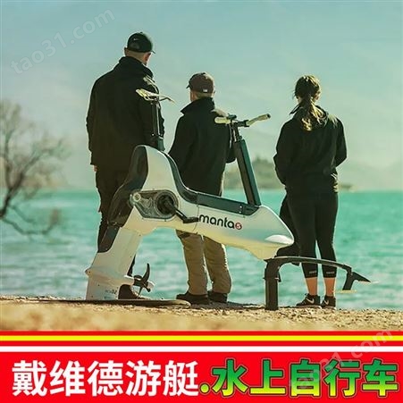manta5水上自行车单车价格 动力冲浪板电动  manta5国内有卖