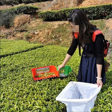 茶园用单人便携式电动采茶机 摘除茶叶机器 茶叶采摘工具