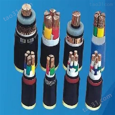 ZR-BPYJVP12R 3*16+3*2.5 变频器专用电缆 厂家现货 货源充足