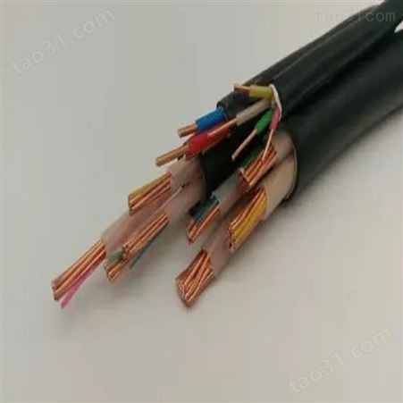 耐高温计算机电缆ZR—DJFVP—2 厂家现货 鑫森电缆