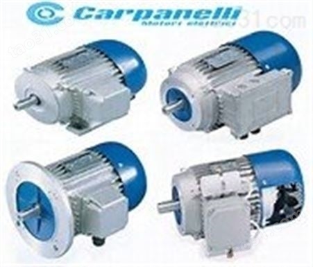 CARPANELLI直流电机介绍