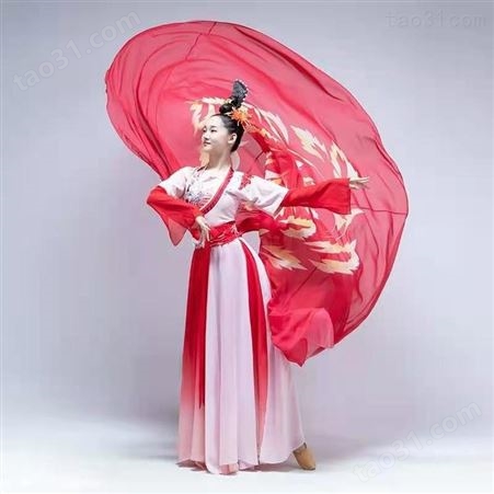 古典舞桃李杯红艳凝同款舞蹈服艺考渐变演出服