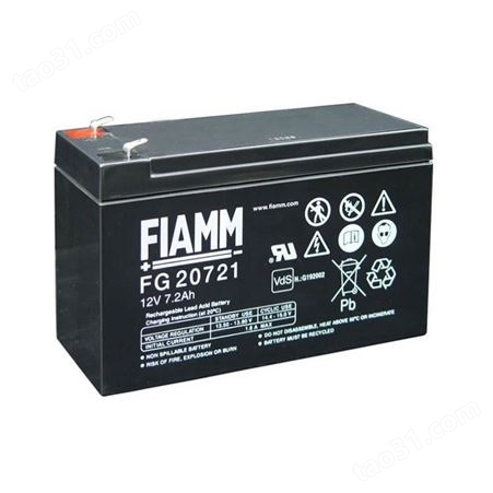 非凡蓄电池12SSP18 FIAMM非凡12V18AH 机房消防主机备用蓄电池