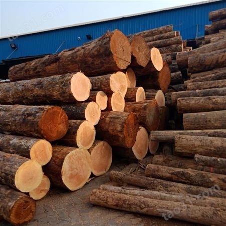 建筑工地方木 方木加工厂 批发4米樟子松建筑方木