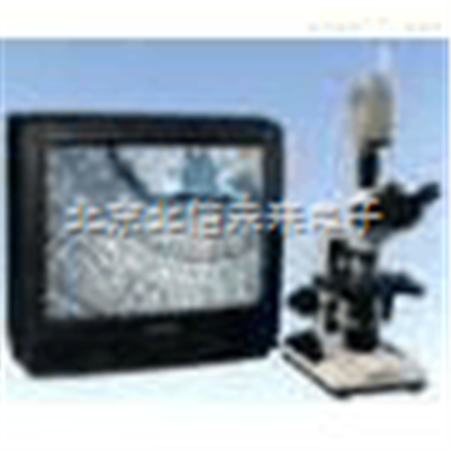 HG13-XSZ-CTV生物彩色电视显微镜 彩色电视型显微镜 医疗卫生*刑侦用显微镜